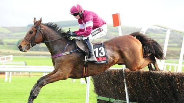 Irlanda. Doppia vittoria per la nuova partnership Giggistown ed Henry de Bromhead nel pomeriggio di Down Royal, Valseur Lido domina le JNWine Champion Chase, Sub Lieutenant le Belfast