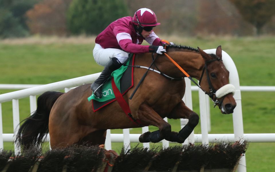 Irlanda. Death Duty impressiona nelle Navan Novice Hurdle di gruppo due, l’allievo di Gordon Elliott ha battuto il leader Monalee e l’atteso Invitation Only