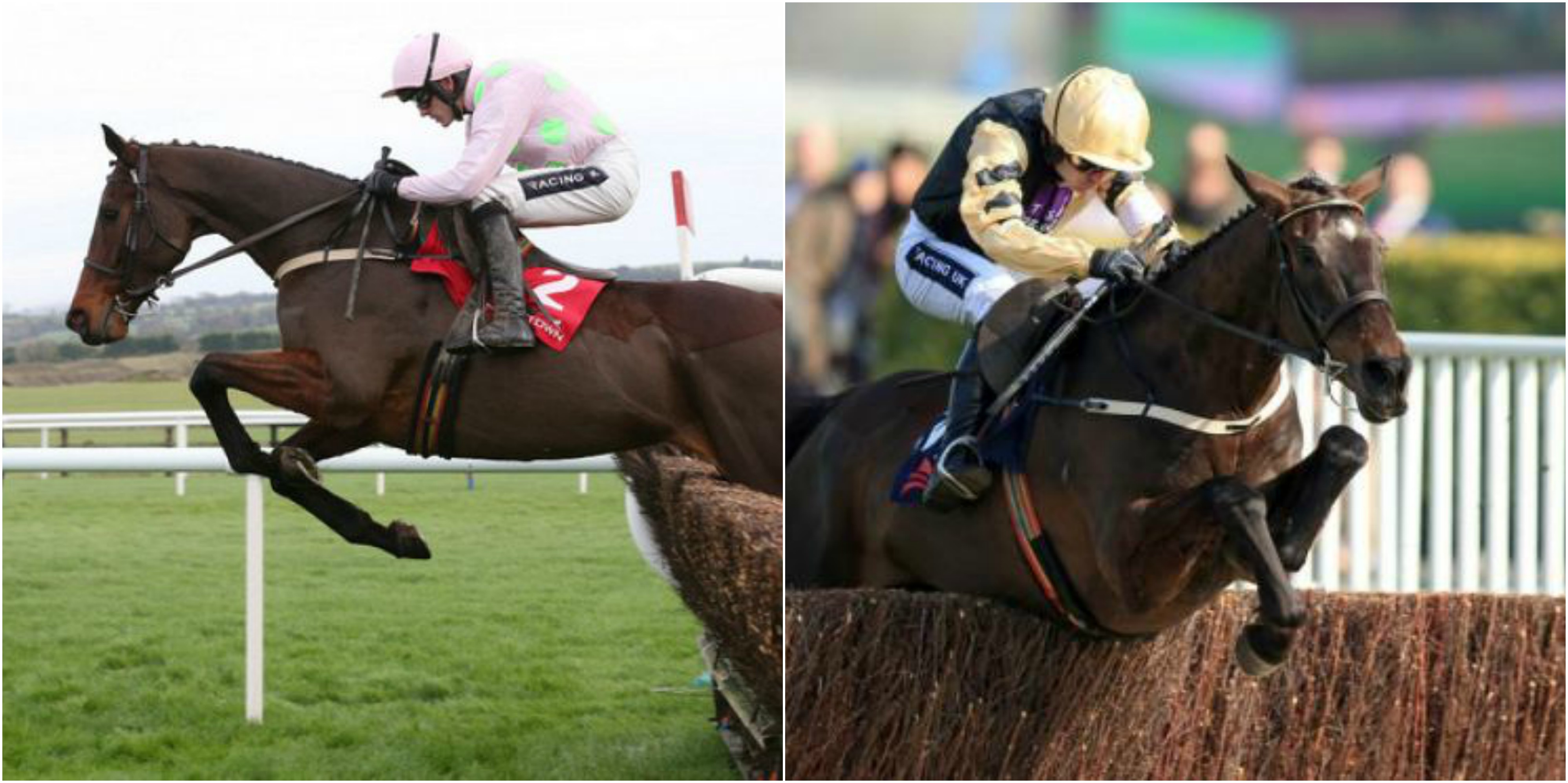 Irlanda. Domenica a Punchestown una bella edizione del John Durkan Memorial Chase di primo grado con la probabile presenza del duo Mullins, Djakadam e Black Hercules