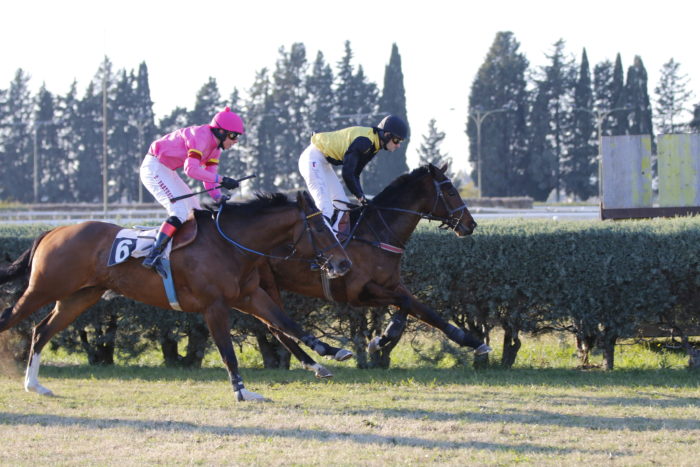 Italia. Nella Gran Siepi di Grosseto soffre ma vince l’atteso Kazoo, battuto l’importato di Favero Secular Society. Nella Siepi d’Autunno en plein fucsia con il successo di Silk Gem, nel Grande Steeple il ceco All About Cossio dice no ad Hurricane Mix