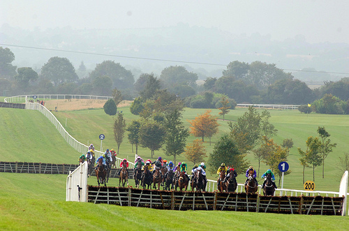 Irlanda. Si prospetta un’interessante edizione delle Navan Novice Hurdle di gruppo due, in pista una qualitativa rappresentanza di giovani promesse