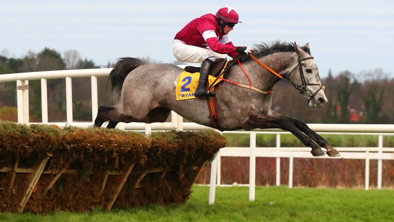 Irlanda. Apre Punchestown con una due giorni ricca di spunti, sullo steeple debutta il campione di Giggistown Petit Mouchoir, giovedì due corse di gruppo di alto profilo