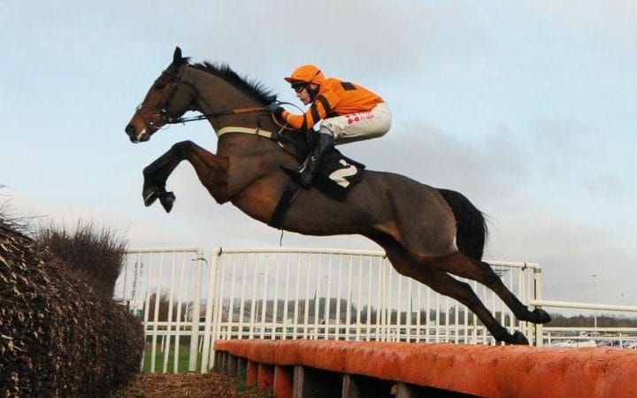 Regno Unito. Thistlecrack si conferma vero e proprio talento, l’allievo di Colin Tizzard domina nelle attese King George VI Chase di Kempton Park, battuto il compagno di allenamento Cue Card. Yanworth ok nelle Christmas Hurdle, sorpresa Royal Vacation nelle Kauto Star, Min stravince le Racing Post a Leopardstown. Andrew Thornton conquista la vittoria numero 1000 a Wincanton