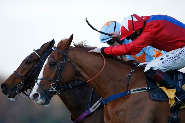 Inghilterra. Edizione vibrante le Tingle Creek di Sandown Park, Un De Sceaux si oppone a Sir De Grugy in un finale al cardiopalma, terzo a contatto l’ottimo God’s Own. Nelle Racing Post Henry VIII domina l’atteso Altior