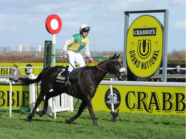 Inghilterra. Epilogo drammatico a Cheltenham per la morte di Many Clouds nel post gara delle Costwold Chase, il vincitore del Grand National 2015, cade a terra dopo aver battuto il vincitore delle King George VI Thistlecrack, il grande favorito alla prossima Gold Cup. Un de Sceaux si conferma e conserva il titolo nelle Clarence House, Unowhatimeanharry in volo verso le World Hurdle