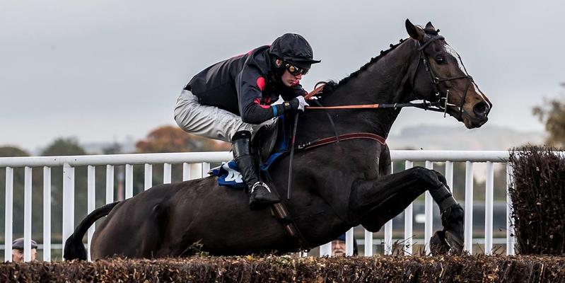 Regno Unito. Il Betfred Classic Chase si conferma la corsa delle donne, a Warwick domina l’allievo di Lucinda Russell One For Arthur con in sella Derek Fox. Punchestown, Any Second Now si conferma nelle Moscow Flyer Hurdle battendo l’atteso Crack Mome