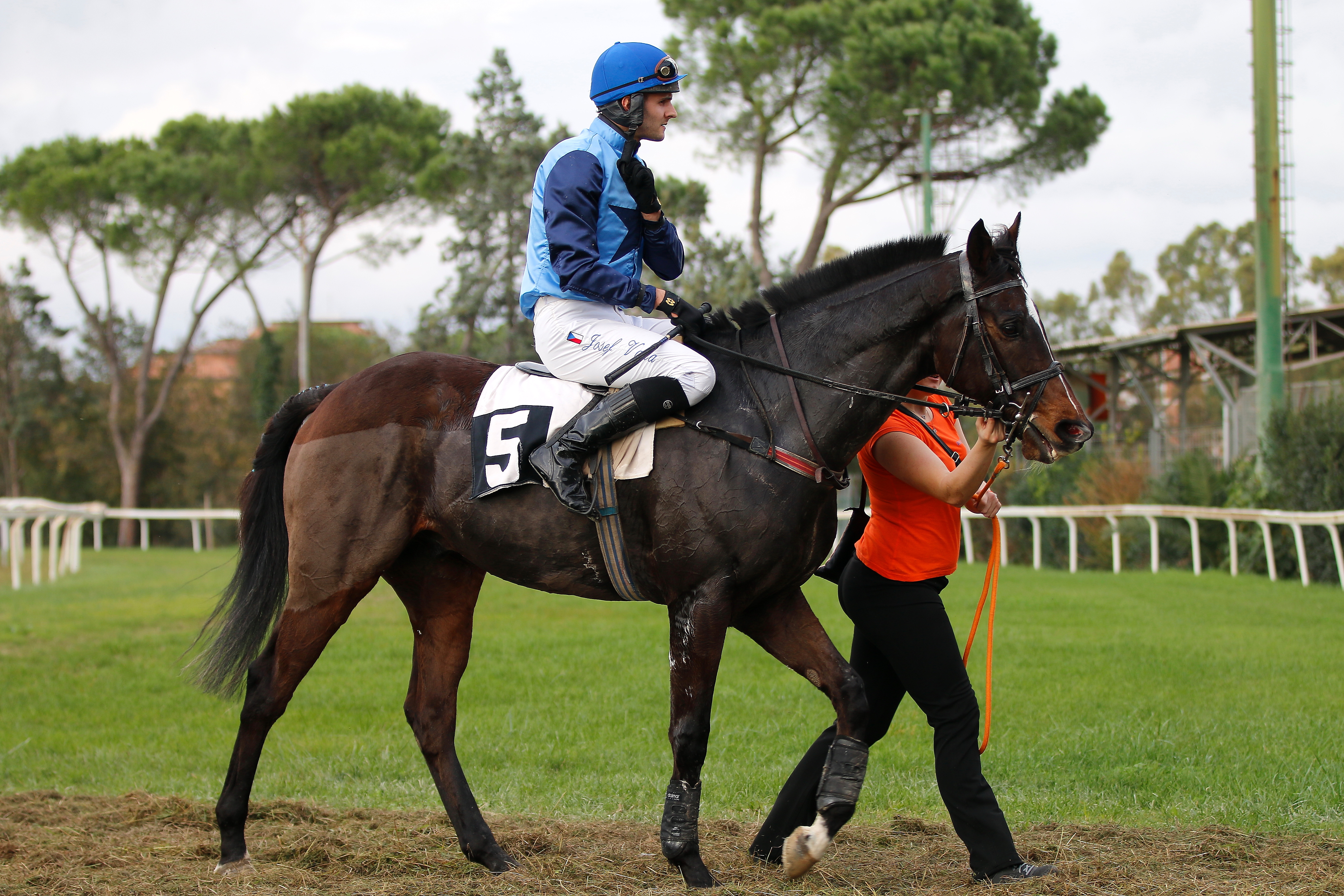 Italia. Epifania a Pisa con tre corse molto interessanti, fra queste il Premio Doretto gara di preparazione alla Gran Siepi Nazionale dove torna in pista il ceco Roches Cross. Fra i 4 anni in apertura attesi i compagni Silk Gem e Prepotent, incertezza nella periziata favorito il ‘Romano’ Giannettoni