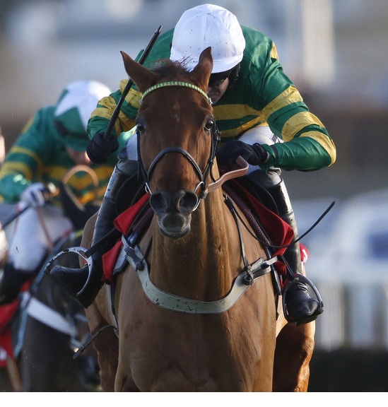 Inghilterra. Sabato a Sandown Park occasione per Buveur D’Air nelle Contenders Hurdle dove darà forfait il compagno di colori Yanworth. Nelle Scilly Nicholls versus Henderson