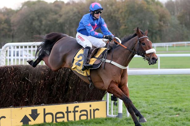 Inghilterra. Cue Card maestoso vince le Ascot Chase e si prenota per la Timico Gold Cup. Brennan nel dopo corsa: “E’ una macchina, negli ultimi due salti mi ha impressionato”