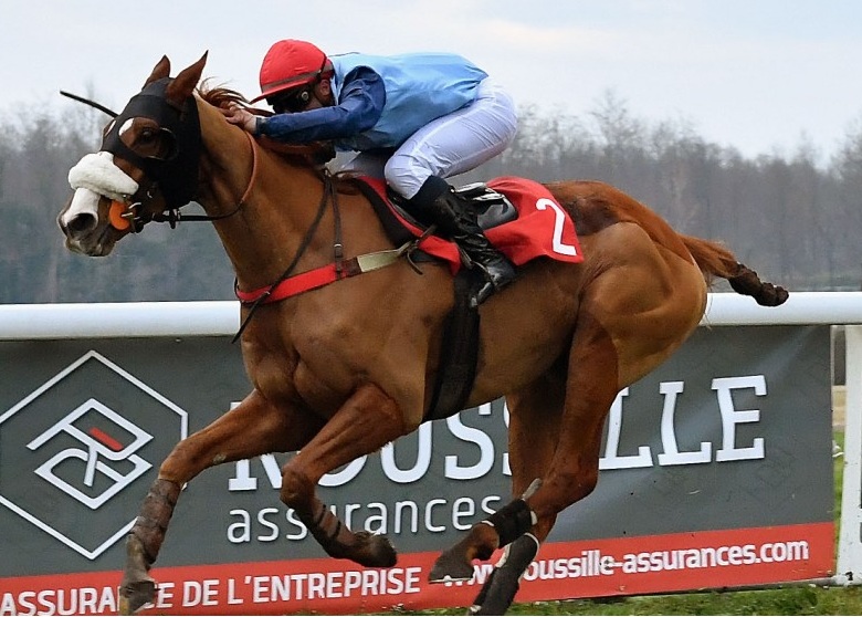 Francia. Forthing ottiene lo storico doppio Grand Prix – Grand Course de Haies a Pau, battuto il compagno di allenamento Christmas Rose al termine di un finale emozionante. Doppio per Isabelle Pacault e Magalent Bryant, che vincono il Grand Cross grazie all’esperto Discover D’Authie, interpretato da Clement Lefebvre