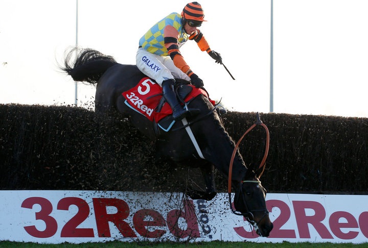 Inghilterra. Might Bite pronto a tornare in pista questo venerdì a Kempton Park, obiettivo le Rsa Chase al prossimo festival di Cheltenham