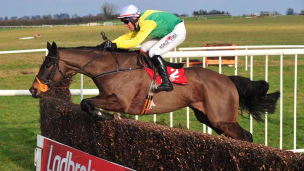 Irlanda. Il vincitore di Leopardstown Sizing John verso la Timico Gold Cup di Cheltenham, la prima volta di Johanna Harrington alla classica di Prestbury Park