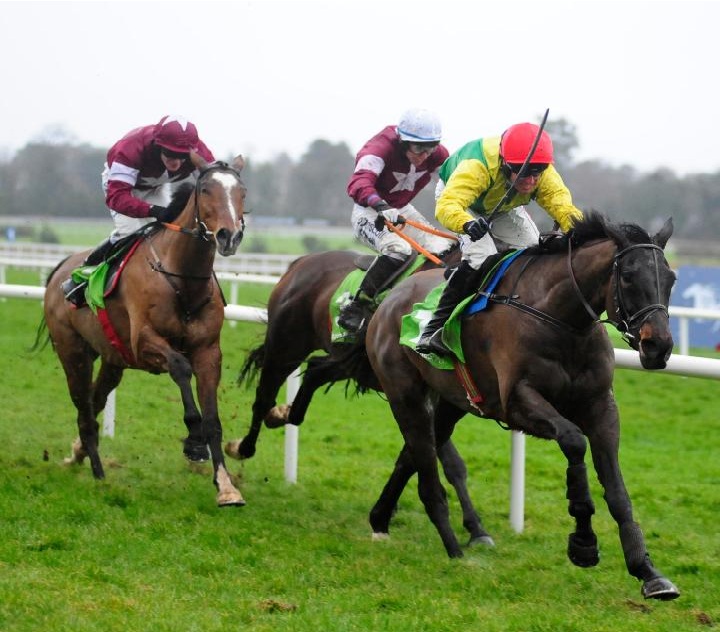 Irlanda. Trionfo Sizing John nella Irish Gold Cup. L’allievo di Johanna Harrington si conferma sulle tre miglia precedendo i compagni Empire Of Dirt e Don Poli, solo quarto il detentore del titolo Carlingford Lough