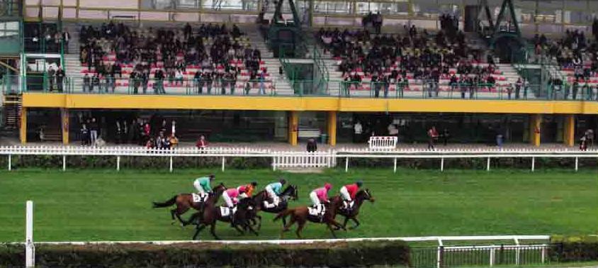 Italia. Treviso open, Home Please dice no a Relco Sud Ovest nello steeple chase, Silver Tango domina il cross country in apertura di programma, Padrinho in forma top vince la maiden claiming sulle siepi