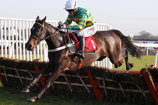 Inghilterra. Nicky Henderson conferma Charlie Parcs alla prossima edizione del Jcb Triumph Hurdle di Cheltenham in programma il 17 Marzo