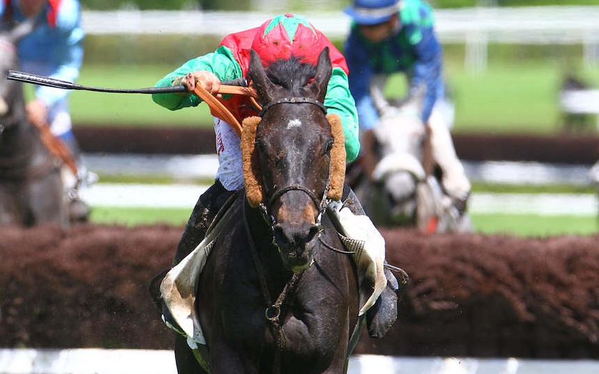 Francia. Prima ad Auteuil per la nuova stagione con un super David Cottin. L’ex cravache d’or cala un triplo vincendo l’atteso centrale della giornata, il Prix Robert de Clermont Tonnerre in sella all’ottimo Mali Borgia, training del padre Philippe. Rientri ad hoc per So French e Device nelle restanti gare della giornata