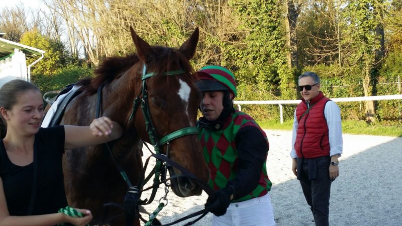 Italia. Doppio dei Vana nelle due classiche del Sant’Artemio grazie a Tahini nello Steeple e Kazoo nella Corsa Siepi di Treviso. Hurricane Mix incanta nell’Amedeo Duca D’Aosta