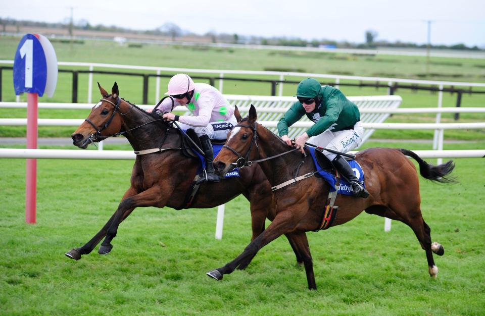 Irlanda. A Fairyhouse primo atto dell’Irish Grand National Meeting. Yorkhill sconfitto da Road To Respect nella Gold Cup, Augusta Kate batte la compagna Let’s Dance nella Mares Championship Final Hurdle