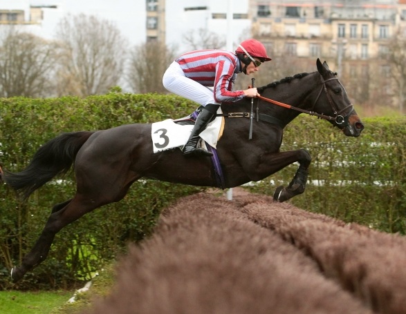 Francia. De Bon Coeur numero d’alta scuola nel Prix Amadou, Edward D’Argent si conferma nel Jean Stern, Perfect Impulse candidata al Grande Steeple di Parigi