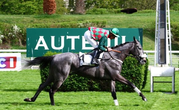 Francia. Iperbolico Edward D’Argent stravince il Prix Fleuret sui 4400 metri, Dufaure nel mirino. Nulla da fare per Full Glass e il rivale dichiarato Dalko Moriviere