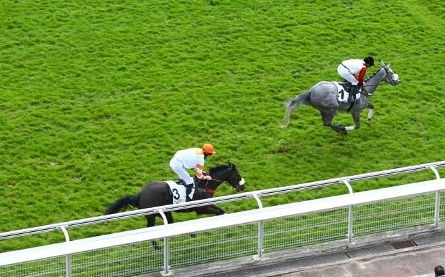 Francia. Le femmine di tre anni in siepi protagoniste nel pomeriggio di Auteuil. Esordio ad hoc per Gold Filly, nel Prix Champoreau continua da imbattuta Santa Adelia. Il giovane fantino Baptiste Meme diventa professionista