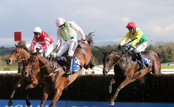 Irlanda. Sizing John, storia a Punchestown. Nel secondo giorno del festival l’allievo di Johanna Harrington conquista la terza Gold Cup in stagione dopo Leopardstown e Cheltenham, battuti Djakadam e Coneygree