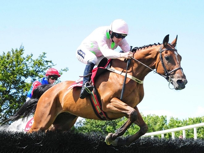 Irlanda. Thomas Hobson e Ruby Walsh dominano il Glascarn Handicap Hurdle di primo livello nell’ultimo atto della tre giorni di Fairyhouse