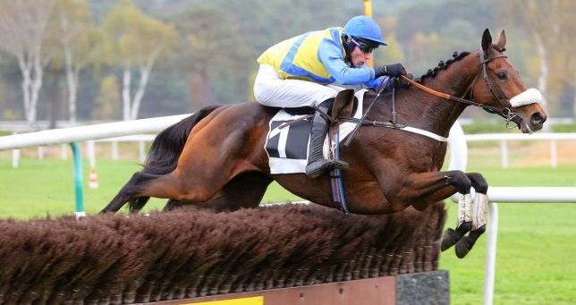 Francia. Guillaume Macaire si concede una clamorosa sestina di vittorie e il pubblico di Fontainebleau gli riserva una meritata standing ovation. Il champion trainer vince il Grande Steeple Cross con il potente Vizir D’Estruval, poker anche per il jockey Bertrand Lestrade