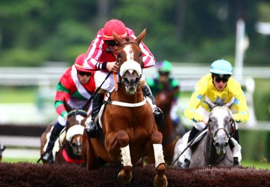 Francia. Auteuil al mercoledì con il Prix James Hennessy, prova di preparazione a La Périchole. Macaire ne schiera due in un campo di soli sei partecipanti