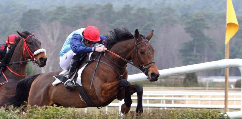 Francia. A Le Lion D’Angers la quarta tappa della Crystal Cup con l’impegnativo Prix Anjou Loire Challlenge, in pista il detentore del titolo Kick On per il team Cottin Bryant