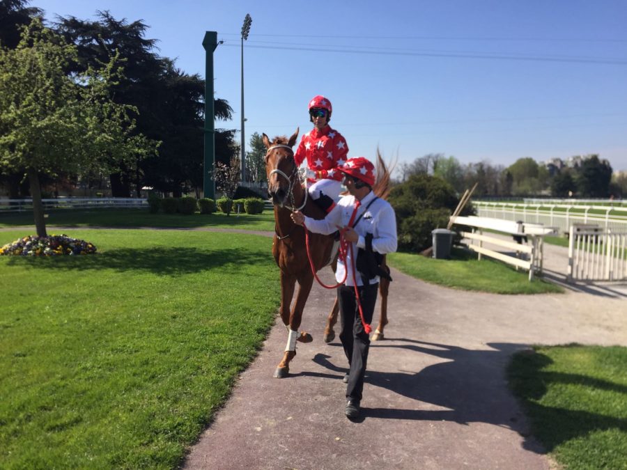 Italia. A Merano contorno il buona qualità, la novità Live Your Life torna in pista dopo i numeri milanesi, Toward Glory e Le Molleau attesi protagonisti