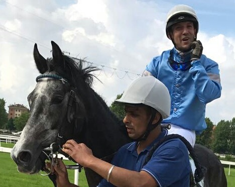 Svizzera. Domenica ad Aarau il Grand Cross con il Preis Der Telli Aarau, in pista anche il nostro Ivan Cherchi con buone chance in sella ad Egisto