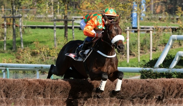 Francia. Giovedì la Grand Course de Haies de Dax Prix J.P. Loiseaux, dove Guillaume Macaire rilancerà il veterano Prince Sumitas