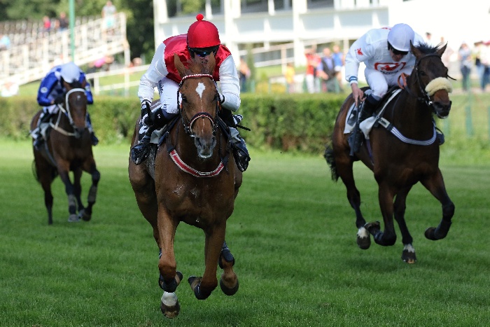 Repubblica Ceca. Dangerous Gleam e Josef Bartos si confermano a Pardubice nella Gold Cup, battuti Monsieur Bachir, Kifaaya e Mustamir, non pervenuto Nos Galan