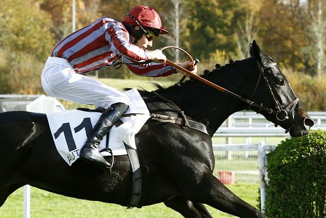 Francia. Domenica la stella De Bon Coeur attesa nel Prix Renaud Du Vivier la Grand Haies per i 4 anni, ultimo gruppo uno della stagione parigina