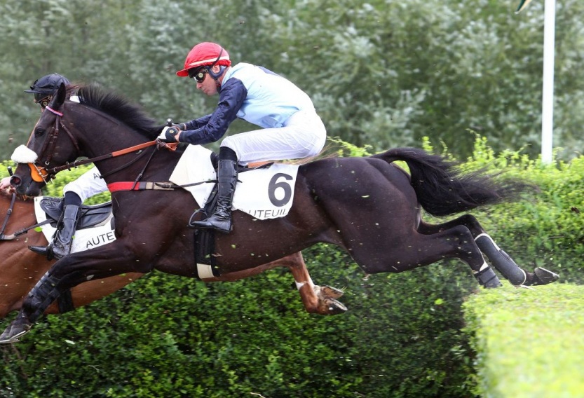 Francia. Dica de Thaix vince il Prix la Périchole ad Auteuil ultimo gruppo della sessione parigina. La stagione si è chiusa con un’altra bella vittoria del ritrovato Capferret, cavallo in allenamento da Stepanka Miskova