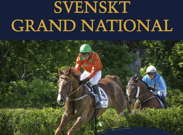 Svezia. Sabato Josef Bartos alla conquista dello Svenskt Grand National Chase in sella ad Al Bustan. Big Jo impegnato anche nella Champion Hurdle con Taurito