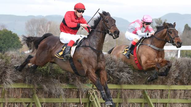 Nuova Zelanda. Ultimo doppio appuntamento con la stagione dell’altro emisfero, ad Auckland sul circuito dell’Ellerslie si corrono Irvines Great Northern Steeple Chase e lo Schweppes Hurdle, in pista campioni del calibro di Uppercut, Amanoon Lad e The Schackler