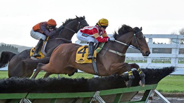 Nuova Zelanda. A Trentham si corrono Grant Plumbing Steeple Chase e Anuka Smoker, gare di preparazione ai Grand National d’inizio Agosto