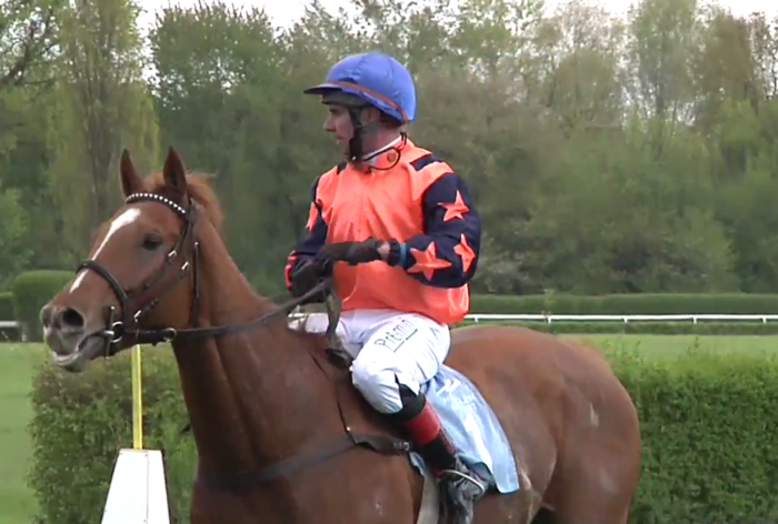 Italia. Il Vincenzo Pollio clou per i chaser nella domenica a Merano, il polacco King Artur favorito dopo il secondo posto ottenuto nel Vanoni. Fra i tre anni in siepi Zanini da battere per il ceco Mushrae