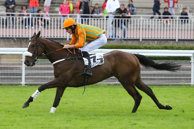 FRANCIA. Le Bouscat giovedì, si corre la Grande Course de Haies de Bordeaux – Sauternes’S Cup, in pista doppio Macaire con l’esperto Maximo Meridio e Starkhov con in sella Madmoiselle Nathalie Desoutter, la scorsa edizione protagonista in sella a Provokator