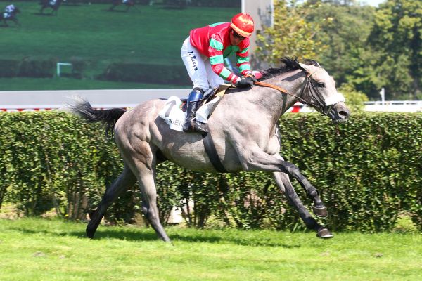 Francia. Nabuco Has cuore e coraggio nel Grand Steeple Chase de Dieppe, fenomenale Tadoum Ludois vince e conserva il titolo nel Grand Cross Country