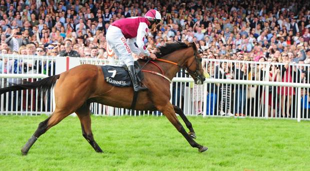 Irlanda. Lunedì 31 il via al Festival di Galway, Ballybrit pronto ad inaugurare la lunga settimana di corse, il Galway Plate Handicap Chase primo evento di prestigio sugli ostacoli