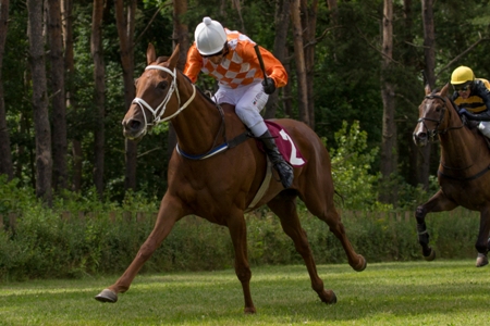 Italia. Terapena domina il Giuseppe Chiodini con un perfetto coast to coast, Wroblewsky si congeda con una bella vittoria dal team bianco arancio di Eva Nieslanikova. Kitano e Marcel Altenburger vincono il cross crountry in apertura di programma, Tarant vince in foto lo steeple per il doppio firmato Jan Faltejsek