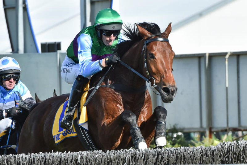 Australia. La stagione National Hunt entra nel vivo, Zed Em ha conquistato la prima tappa dell’altro emisfero, l’allievo di Patrick Payne si è imposto nel Grand Annual Chase di Warrnambool precedendo il detentore del titolo Gold Medals. Prossimi appuntamenti a Sandown Park il 26 Maggio con le Australian Hurdle e Chase