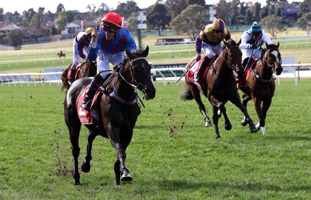 Australia. L’ex Botti Ancient King vince il Grand National Hurdle di Sandown Lakeside, l’allievo di Darren Weir domina la gara precedendo Two Hats e Hornets Nest. Nel Crisp Steeple Chase il decano Wells compie l’impresa precedendo Over The Yardam al termine di un finale emozionante