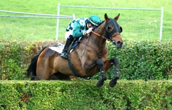 Francia. A Clairefontaine un’incerta Grand Course de Haies con il top weight Buck’s Bank, opposto ad un folto schieramento capeggiato da Gothatir e Superburg