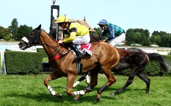 Francia. Gothatir travolgente nel Grand Steeple Chase de la Ville de Deauville, a Clairefontaine l’allievo di Chaillé Chaillé interpretato da Jean Christopher Gagnon batte in volata il fuggitivo Chez Pedro e l’atteso Kaldou Euanas