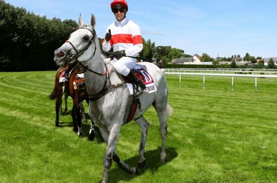 Francia. Edizione splendida del Grand Steeple Chase de la Ville de Deauville, dove il grigio Kaldou Euanas tenta la scalata alla classica di Clairefontaine in un folto campo partenti