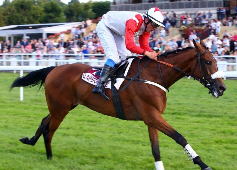 Italia. A Merano si corre il Richard con la novità Ole Caballero acquistato da Josef Aichner, l’ex Macaire affidato a Jiri Kousek contro Silver Tango e la compagna Secret Sinner. Callmebob cerca il triplo fra i tre anni in siepi, in apertura handicap apertissimo riservati agli anziani